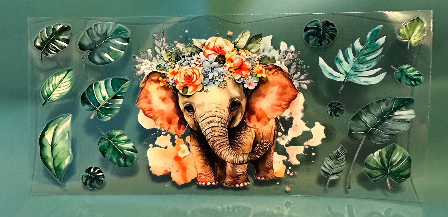 C14 Elephant 2