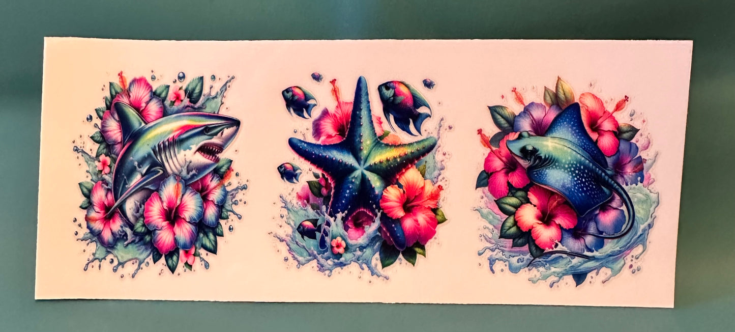 C03 Ocean life 1