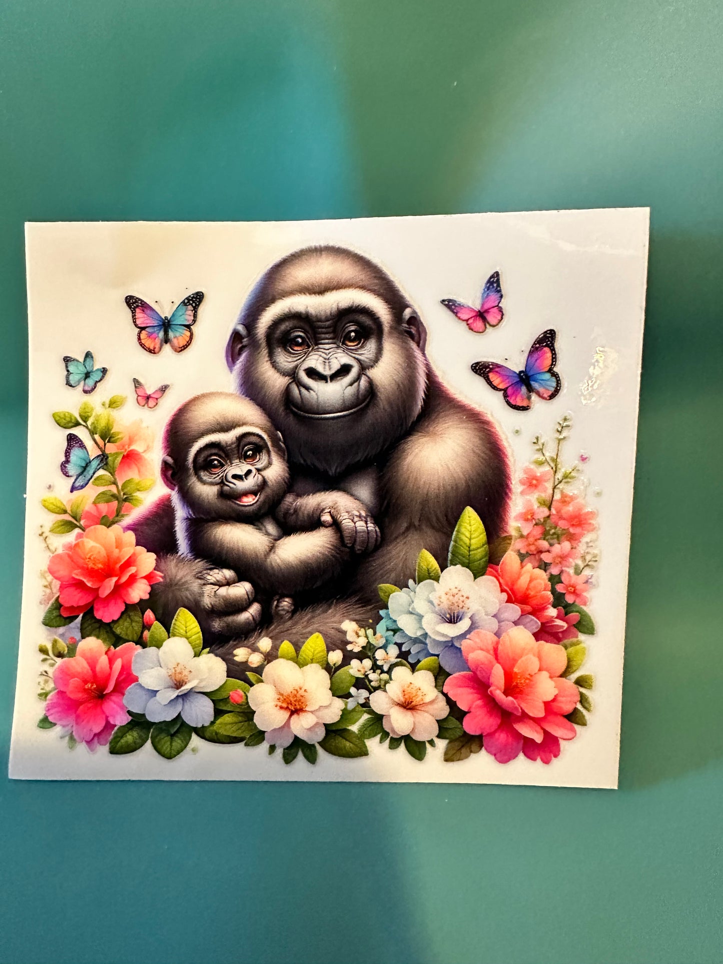 C37 Gorillas