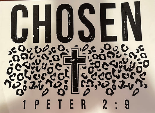 S22 chosen