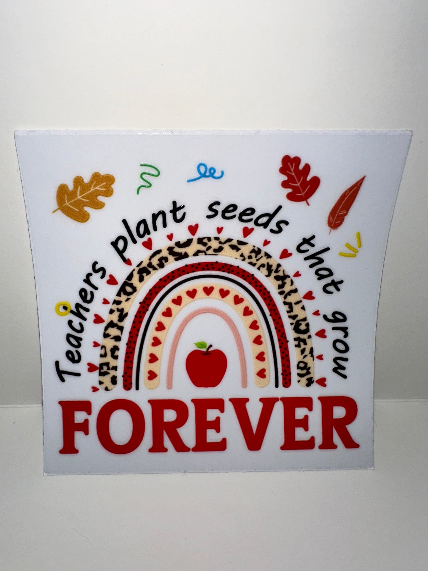 C95 teachers plant seeds