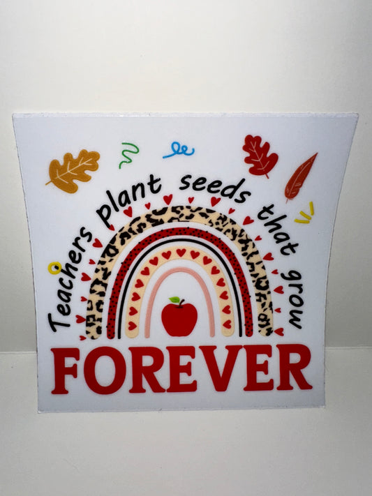 C95 teachers plant seeds