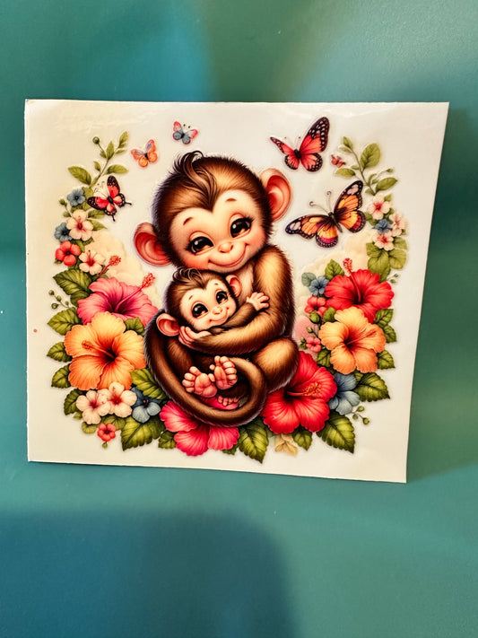 C30 Mom and baby monkey