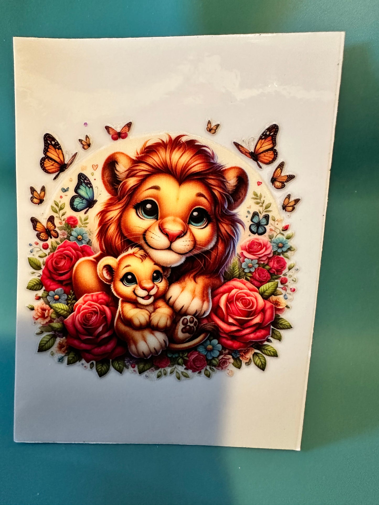 C31 Dad and baby lion