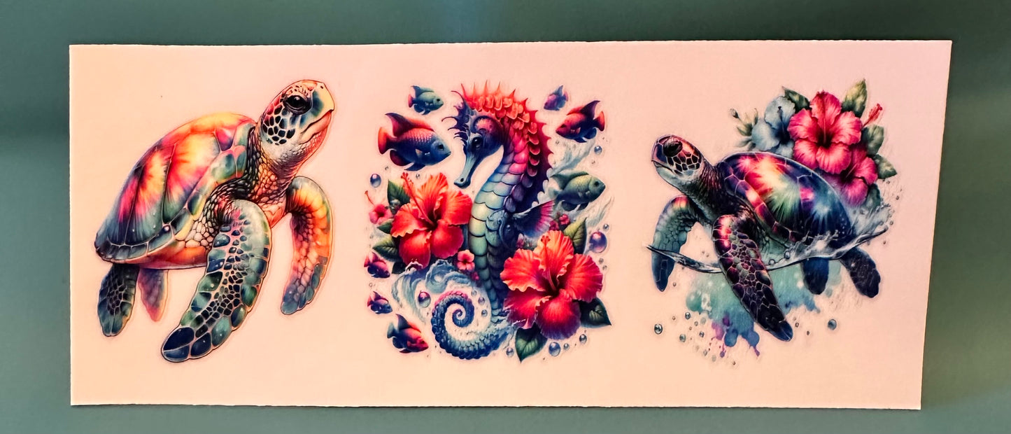 C02 Ocean life 2
