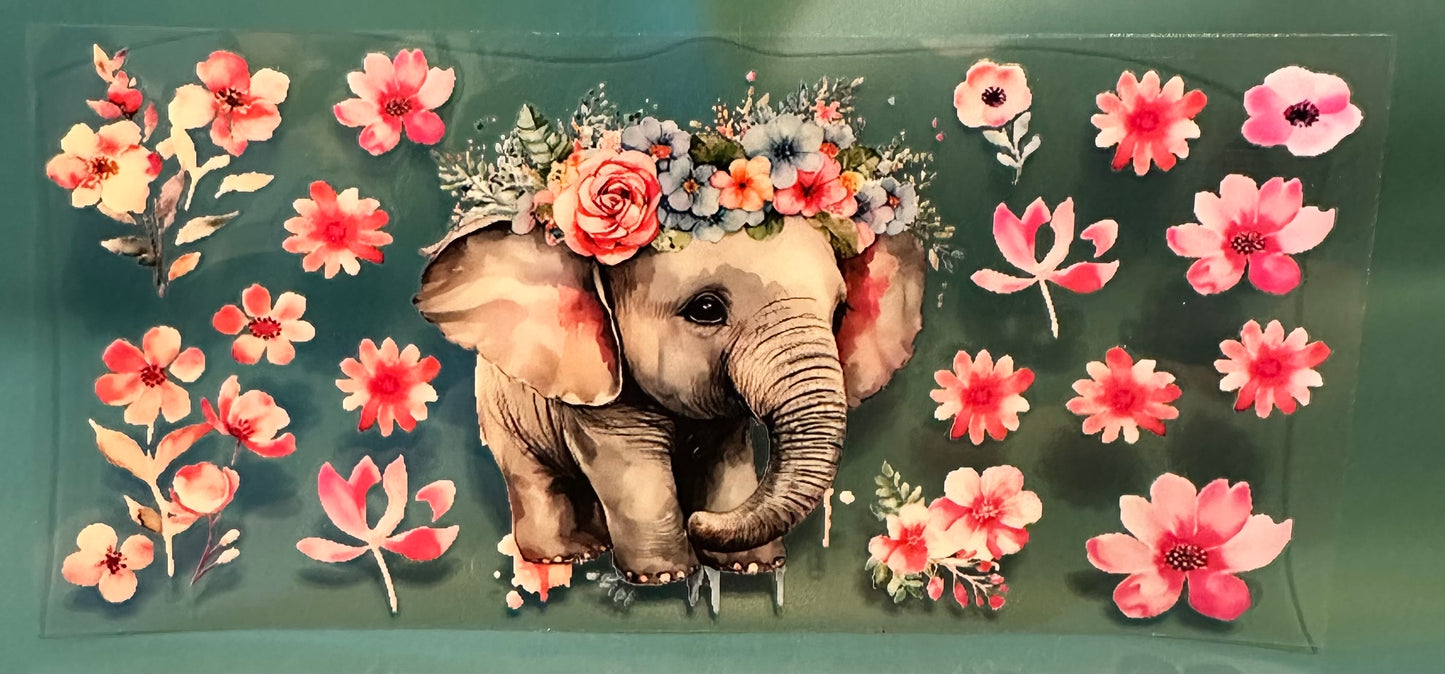 C07 Elephant 5