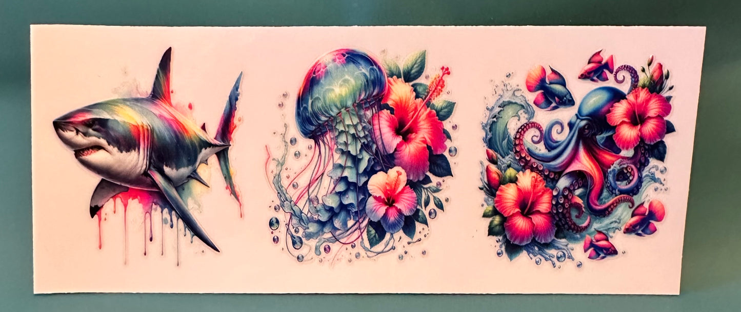 C01 Ocean life 3