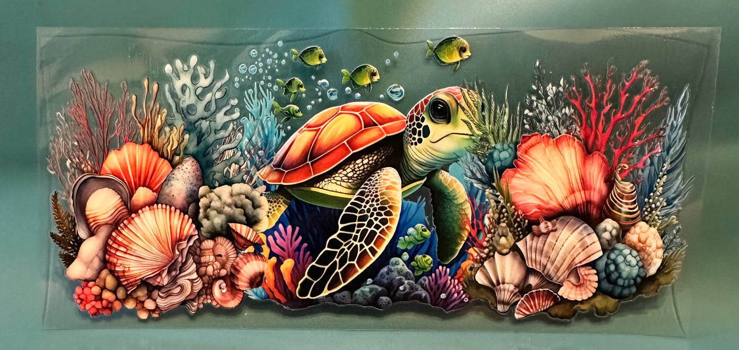 C13 Sea turtle