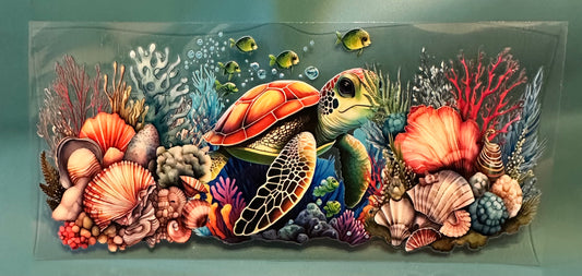C13 Sea turtle