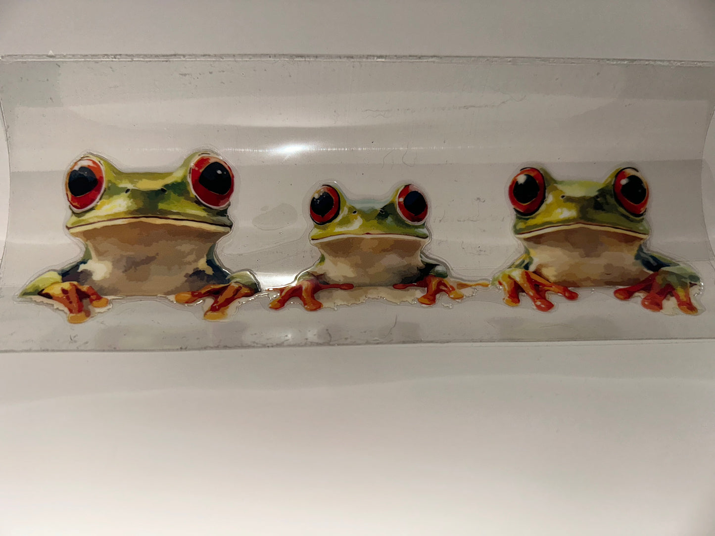 C139 3 rain frogs