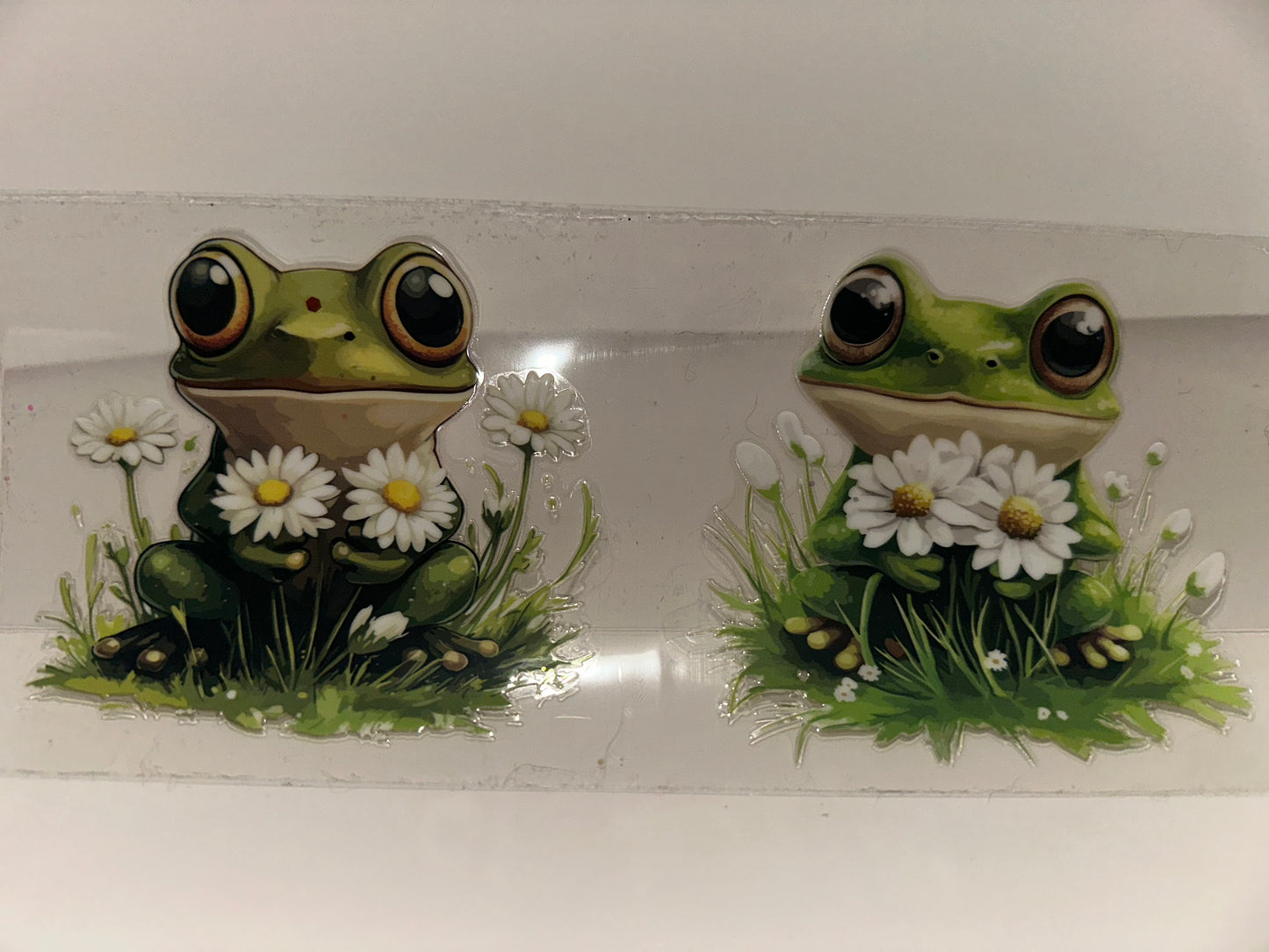 C146 frog and daisies