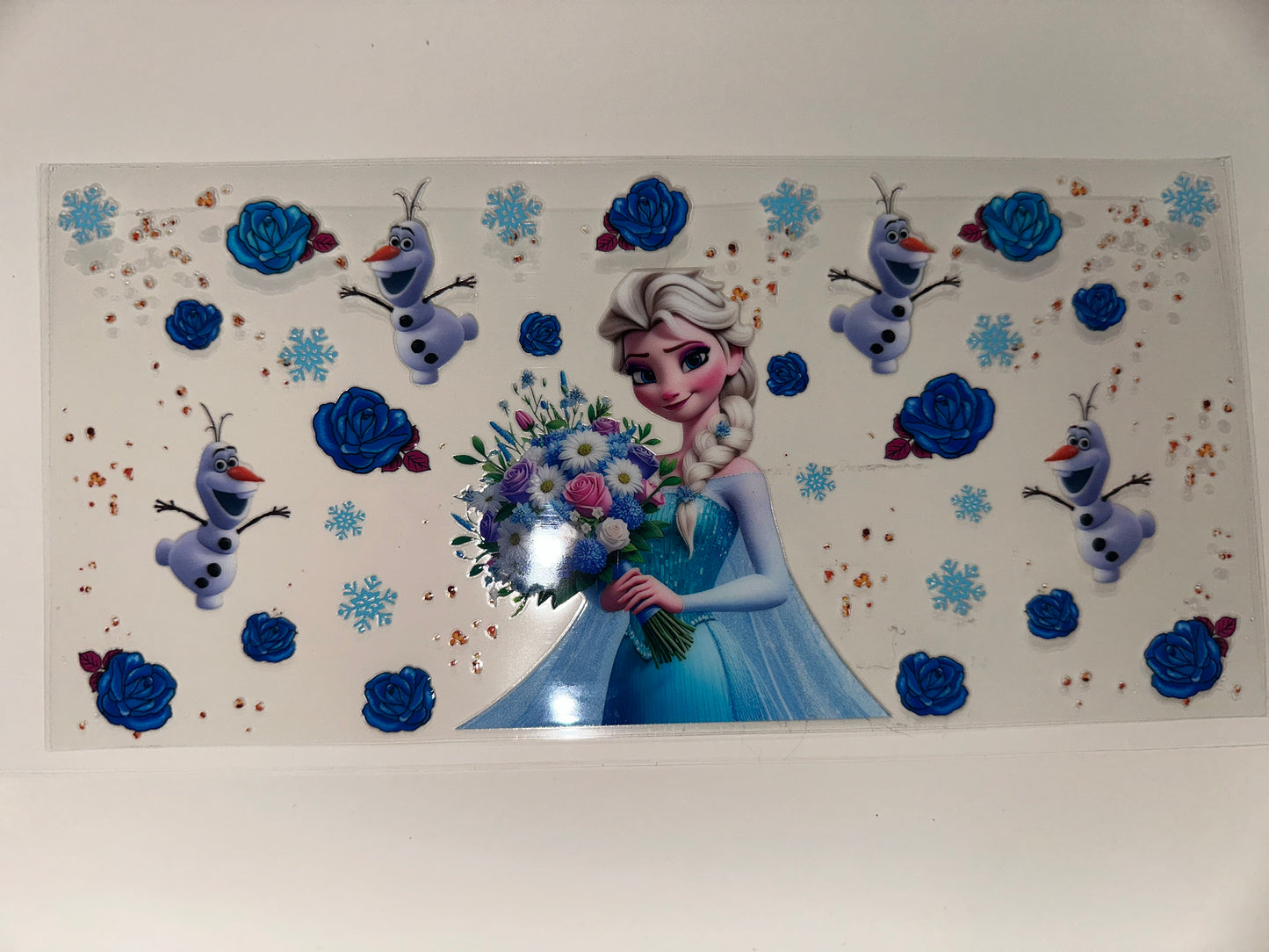 C169 Elsa