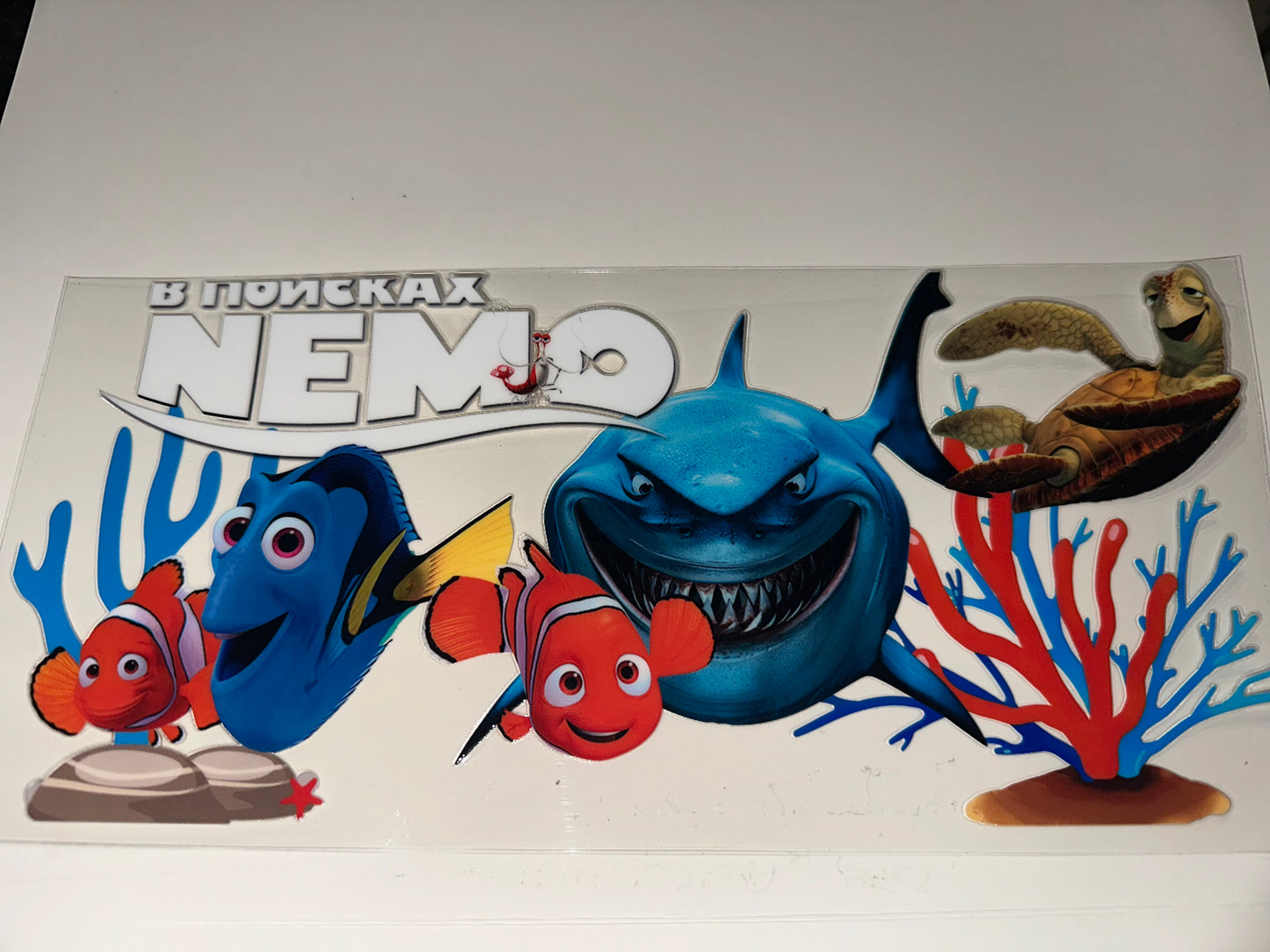 C130 Shark Nemo Dori